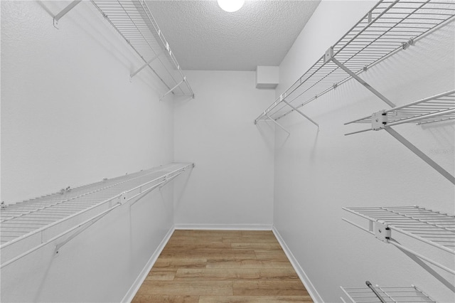 spacious closet featuring light wood finished floors