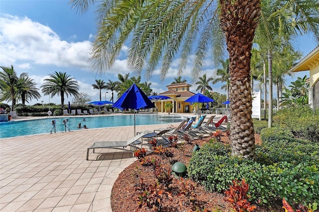 pool with a patio area