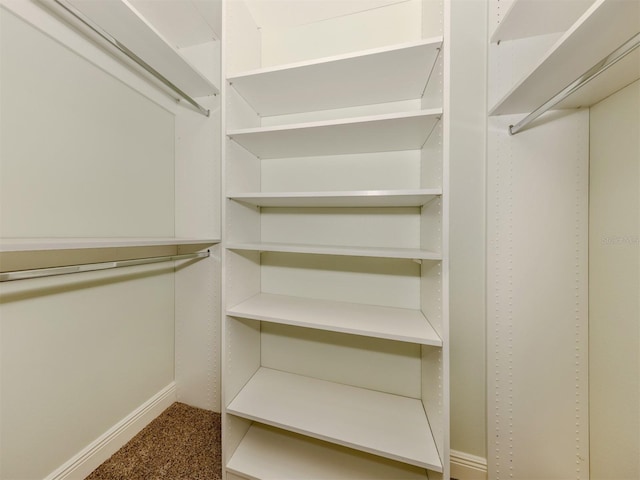 walk in closet featuring carpet flooring