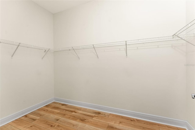 spacious closet with light wood-style flooring