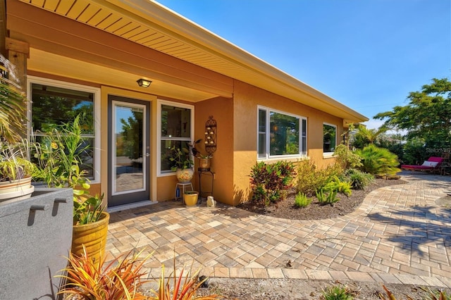 view of exterior entry with stucco siding