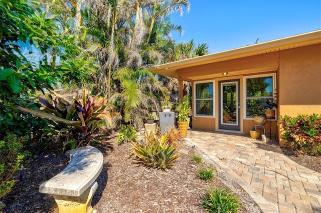 view of exterior entry with stucco siding and a patio area