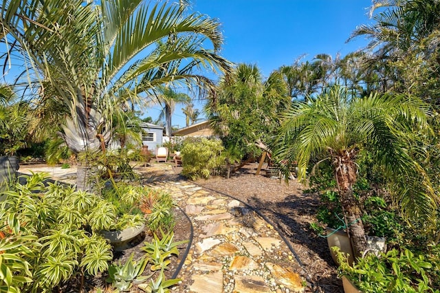 view of yard with a patio and an outdoor structure