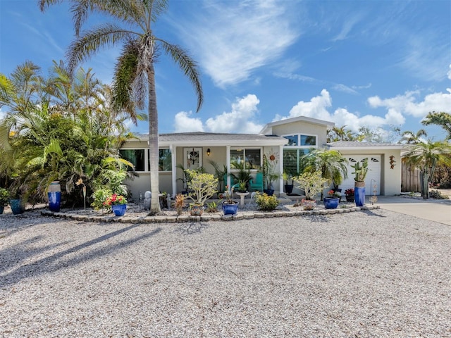 view of front of house with driveway, an attached garage, and stucco siding