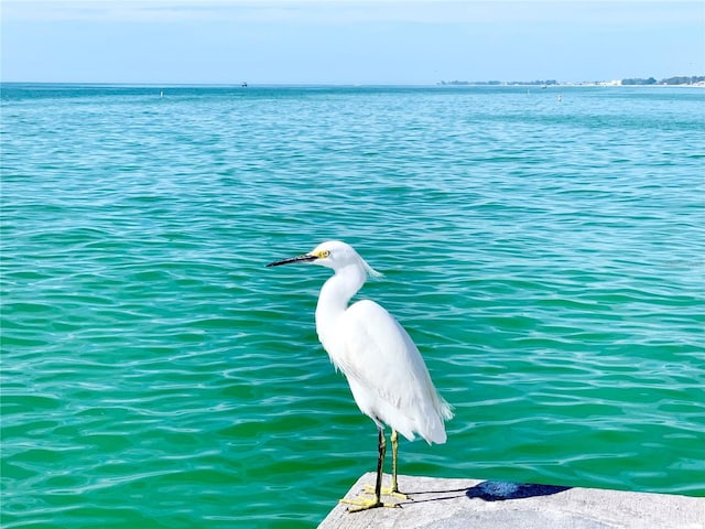 property view of water