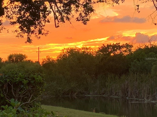 view of nature at dusk