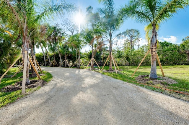 view of playground featuring a yard