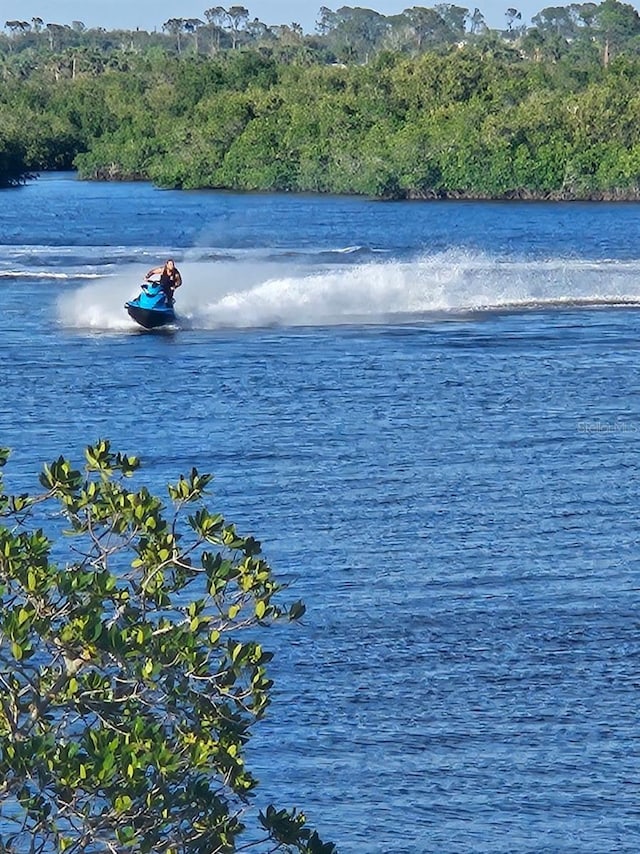 property view of water with a wooded view