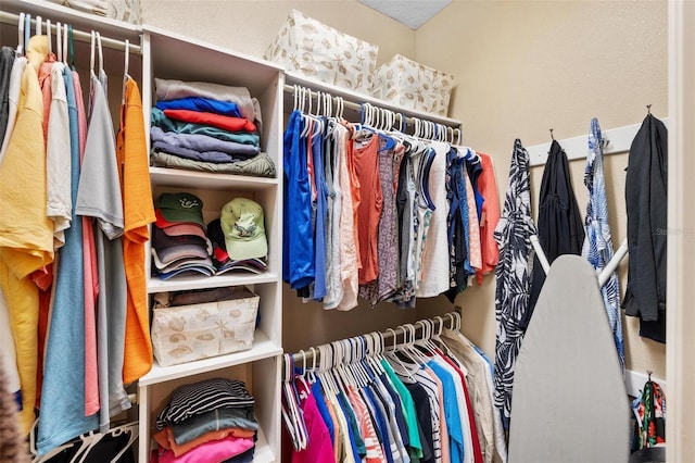 view of spacious closet