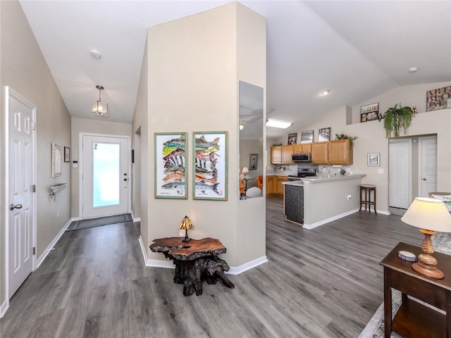 entrance foyer with lofted ceiling, baseboards, and dark wood-style flooring