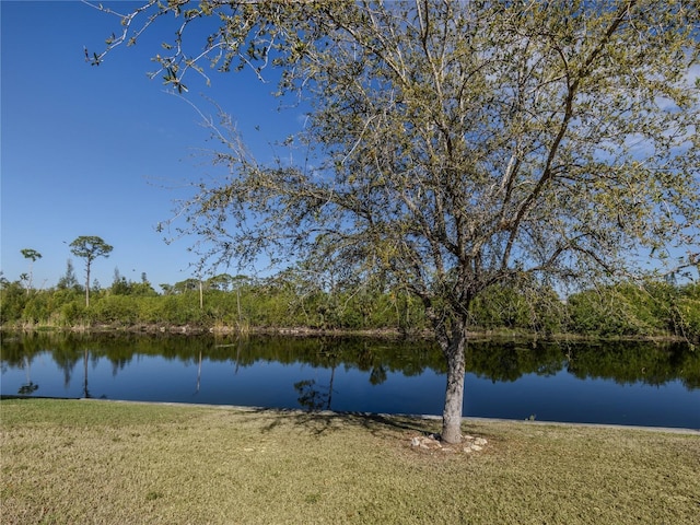 water view