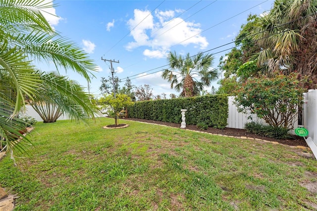 view of yard with a fenced backyard