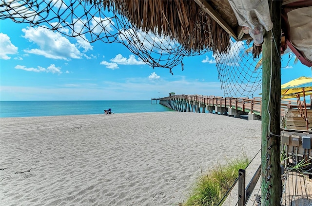 property view of water featuring a beach view and a pier