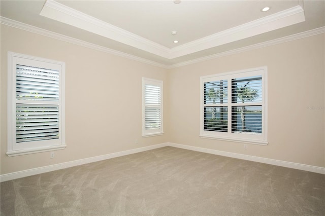 spare room featuring a raised ceiling, light carpet, and a healthy amount of sunlight