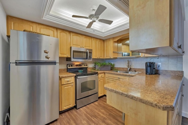 kitchen featuring light brown cabinets, stainless steel appliances, a sink, a tray ceiling, and crown molding