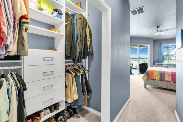 spacious closet with visible vents, ceiling fan, and carpet floors