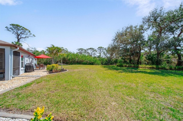 view of yard featuring a patio