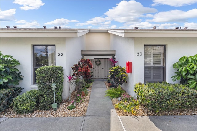 view of exterior entry featuring stucco siding