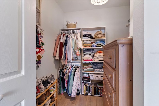 spacious closet featuring wood finished floors