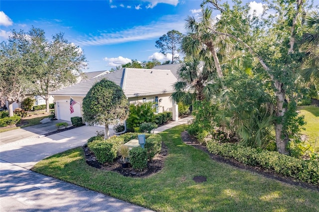 obstructed view of property with stucco siding, a tiled roof, concrete driveway, and a front yard