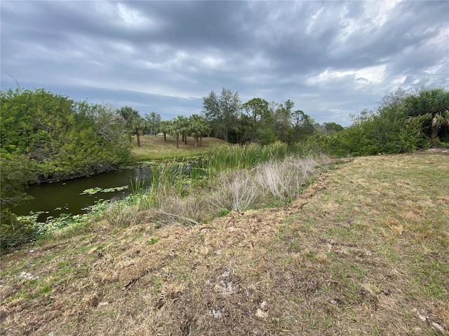 view of local wilderness