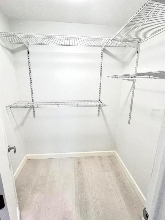 spacious closet featuring light wood-type flooring