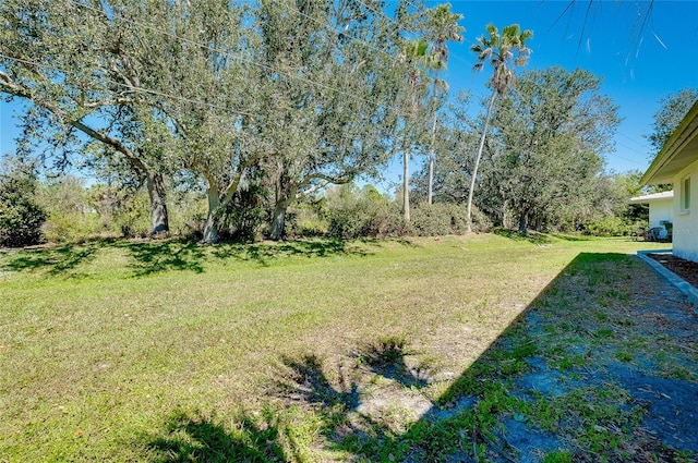 view of yard