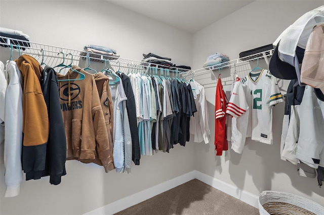 spacious closet featuring carpet floors