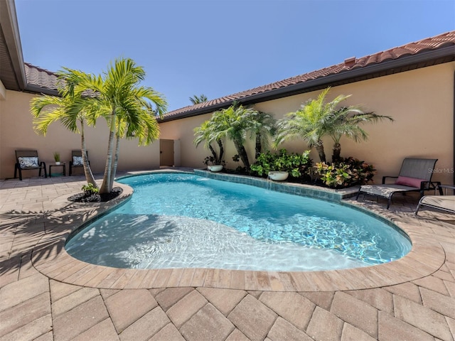 view of pool with a fenced in pool and a patio