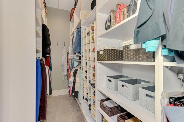 spacious closet with carpet