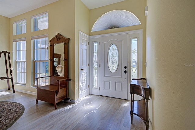 foyer entrance with wood finished floors, a wealth of natural light, and baseboards