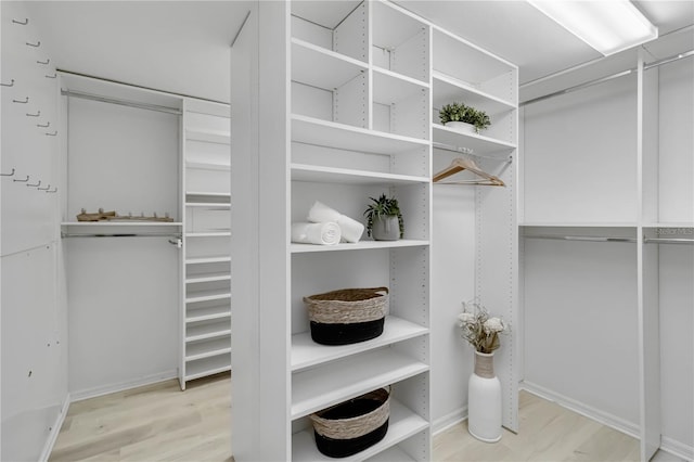 spacious closet featuring wood finished floors