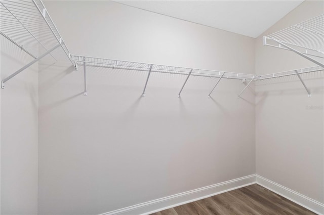 walk in closet with dark wood-style flooring