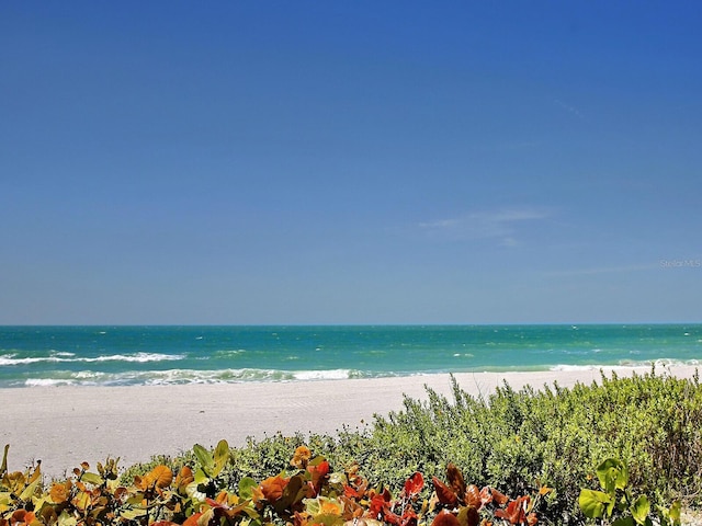 view of water feature featuring a beach view