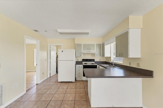 kitchen featuring freestanding refrigerator, a sink, electric stove, under cabinet range hood, and dark countertops