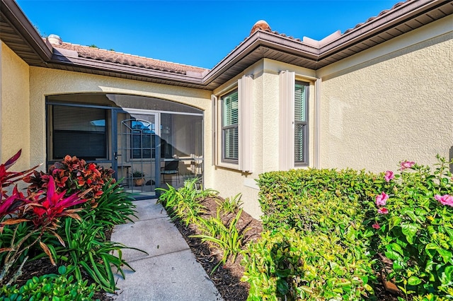 entrance to property featuring stucco siding