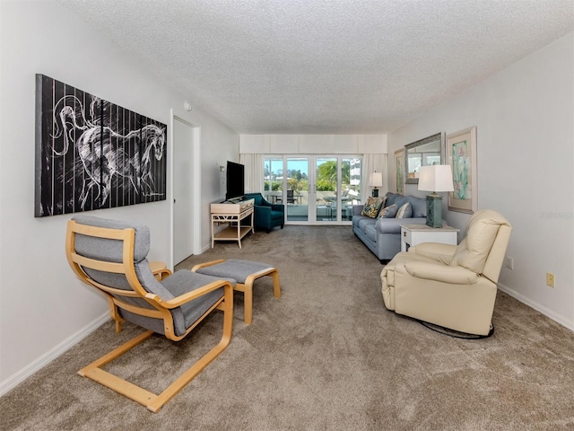 living area with baseboards, a textured ceiling, and carpet