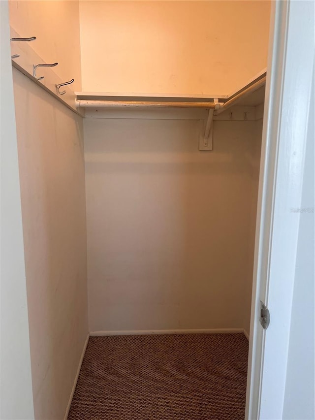 spacious closet featuring carpet flooring