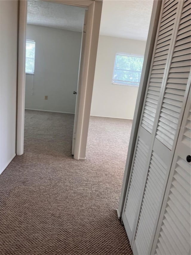 hall featuring carpet flooring and a textured ceiling