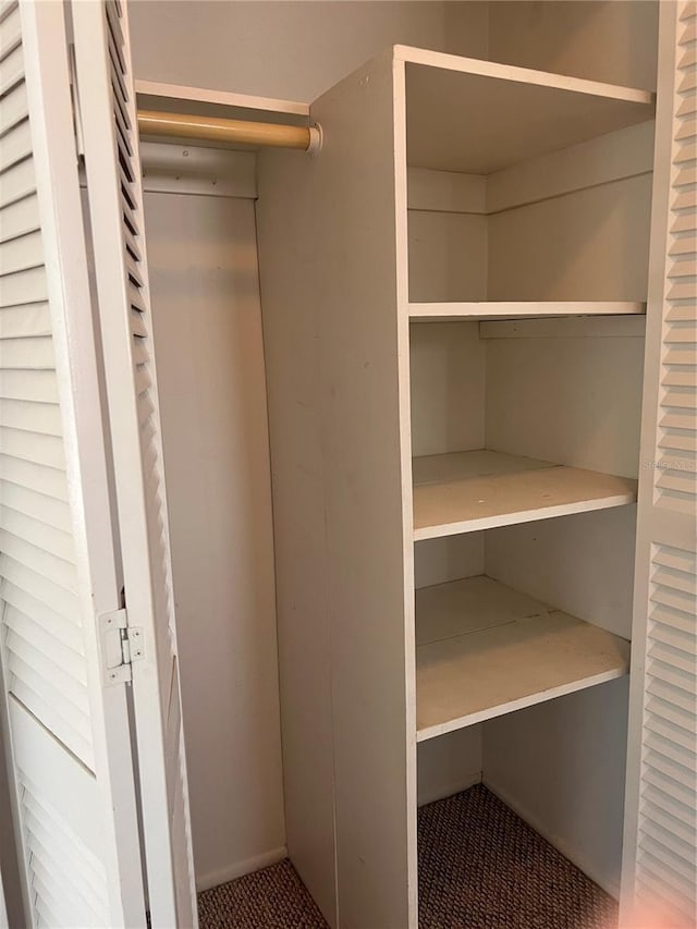 view of closet