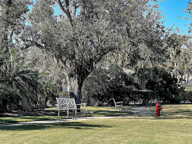 117 Altesino Ct, Venice, FL 34292 - photo 66