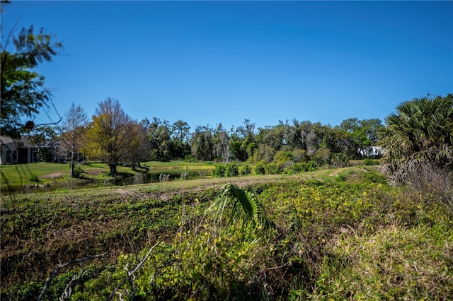 358 Pineview Dr, Venice, FL 34293 - view of yard