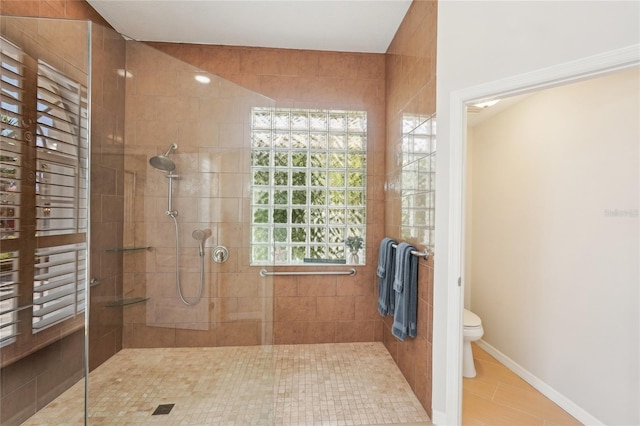 full bathroom featuring toilet, baseboards, and a tile shower