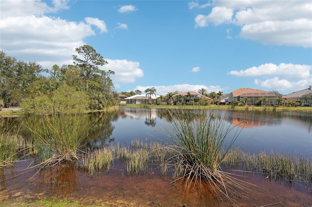 property view of water with a residential view