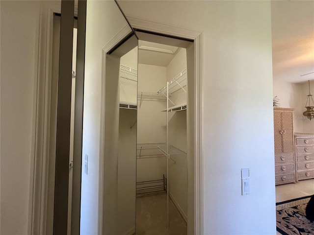 view of walk in closet