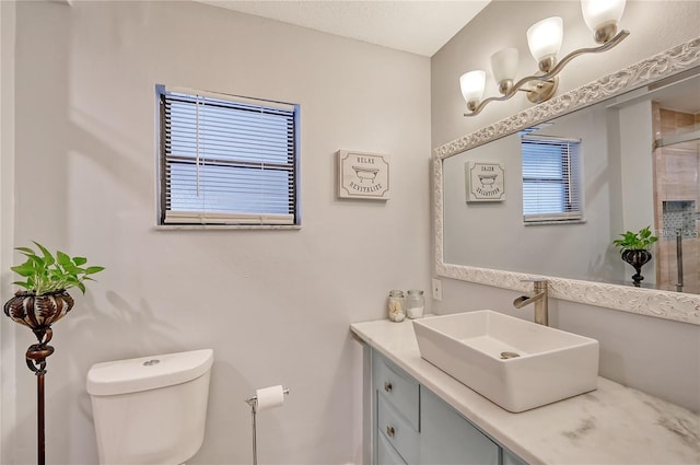 bathroom with toilet and vanity