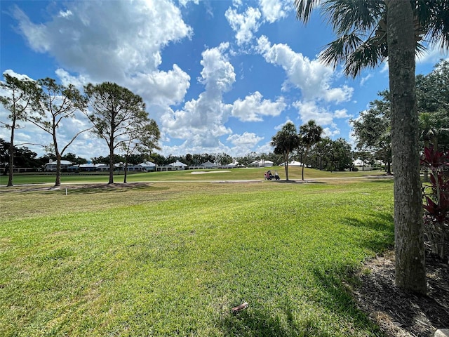 view of community featuring a lawn