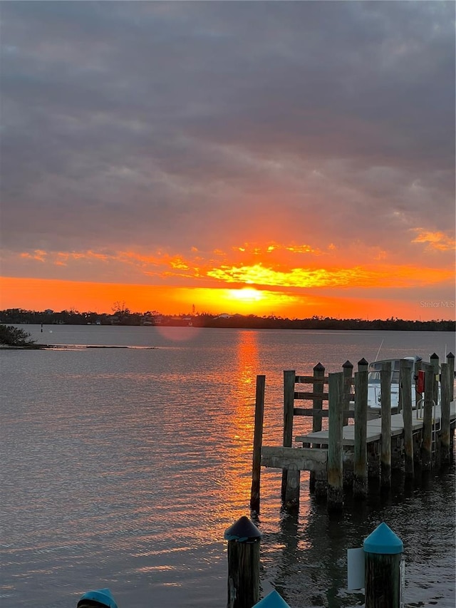 dock area with a water view