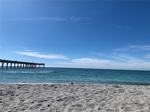 water view featuring a beach view