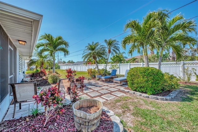 view of yard with a fenced backyard and a patio